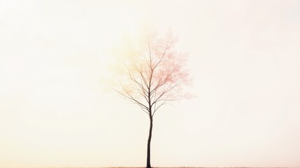 Solitary tree stands against hazy, blurred horizon.