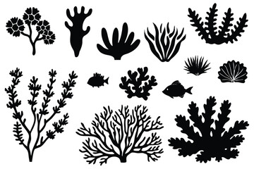 Seaweed and coral silhouettes. Underwater coral reef illustration in a hand drawn style. Illustration of marine aquarium plants.
