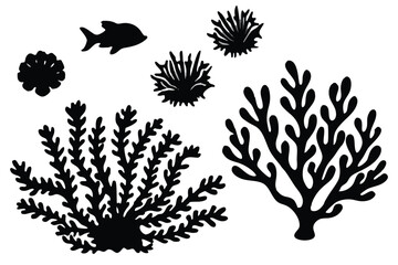 Seaweed and coral silhouettes. Underwater coral reef illustration in a hand drawn style. Illustration of marine aquarium plants.
