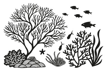Seaweed and coral silhouettes. Underwater coral reef illustration in a hand drawn style. Illustration of marine aquarium plants.