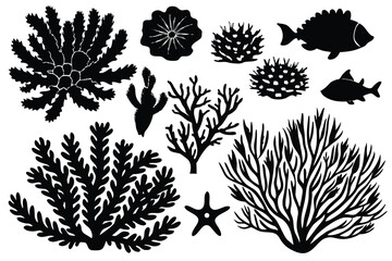 Seaweed and coral silhouettes. Underwater coral reef illustration in a hand drawn style. Illustration of marine aquarium plants.