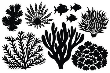 Seaweed and coral silhouettes. Underwater coral reef illustration in a hand drawn style. Illustration of marine aquarium plants.