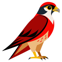 Red-necked Falcon — Minimalist Vector Silhouette