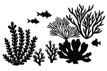 Seaweed and coral silhouettes. Underwater coral reef illustration in a hand drawn style. Illustration of marine aquarium plants.