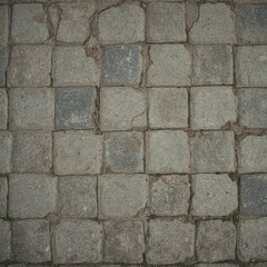 Fototapeta premium Stone Pavement Texture