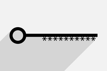 Key as symbol of password for access to confidential information