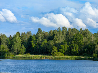 Lake and forest