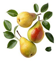 Three Ripe Pears with Green Leaves Isolated on White Background A I G E N E R A T E D - P N G isolated on a transparent background