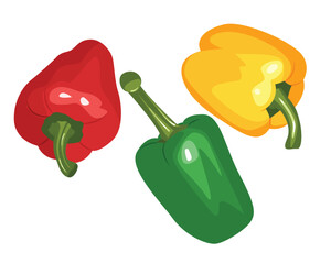 Vector illustration of three colorful bell peppers - red, yellow, and green. Simple yet vivid drawing in flat style. Perfect for cooking, food-related design, vegetarian or healthy eating concepts.