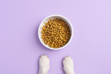 A white pet bowl filled with dry kibble and two cute white dog paws on a light purple background, top view. Minimalistic dog food concept