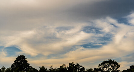 Cielo con nubes suaves al atardecer sobre silueta de árboles en paisaje natural tranquilo