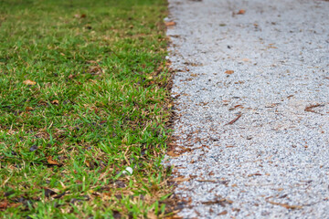 Half-and-half vibrant green grass and light gravel path, creating a contrast of textures and colors. Represents nature and urbanization.