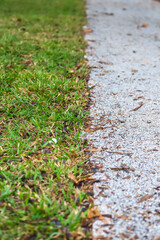 Half-and-half vibrant green grass and light gravel path, creating a contrast of textures and colors. Represents nature and urbanization.