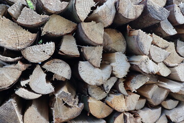 Close-Up of Stacked Timber Logs Showing Natural Wood Grain and Texture