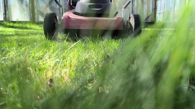 Gardener mowing the lawn. Landscape design. Green grass background