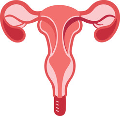 Female reproduction system anatomy silhouette design vector illustration 