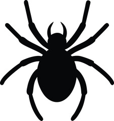 Obraz premium spider silhouette