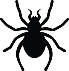spider silhouette