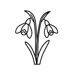 Obraz premium Snowdrop flower line icon in minimalistic black and white design 