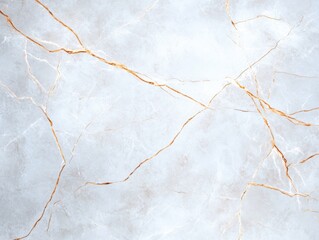 Light Grey Marble Texture