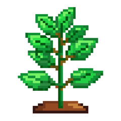 Fototapeta premium Botanical Pixel Icon