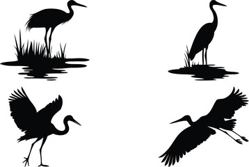 Elegant Crane and Stork Bird Silhouettes