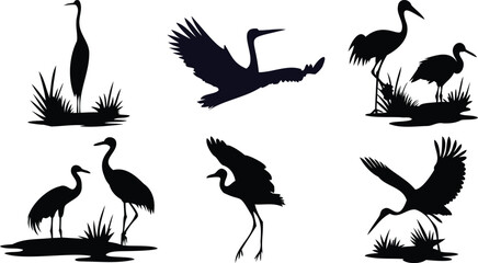 Wading Birds in Wetlands Silhouettes