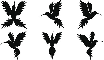 Elegant Hummingbird Designs