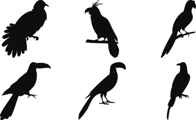 Tropical Birds Resting Silhouettes