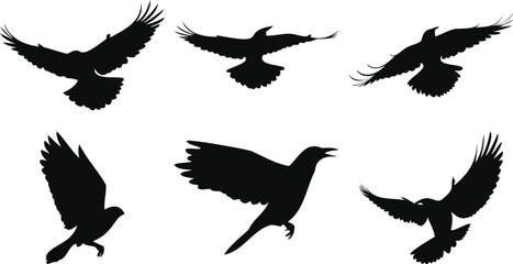 Small Birds in Flight Shapes