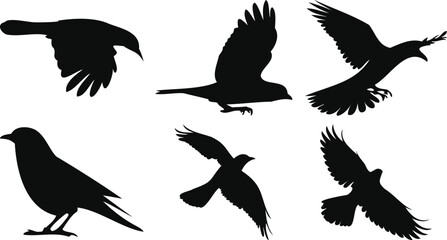 Dynamic Flying Birds Set