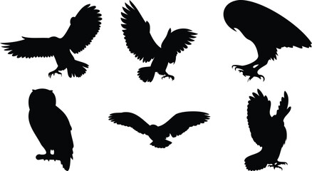 Silhouettes of Owls in Different Positions