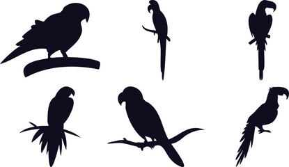 Parrot and Macaw Silhouette Pack