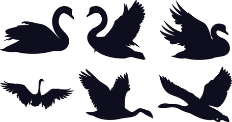 Graceful Swan Silhouettes