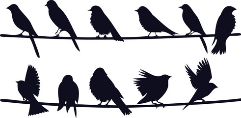 Perched Birds on Wire Silhouette