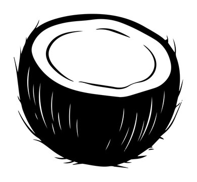 half coconut fruit icon with shell and pulp