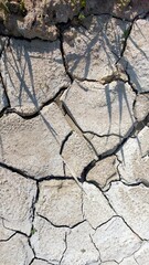 Cracked Dried Earth Showing Effects of Drought in Arid Landscape During Daytime