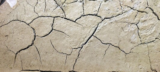 Cracked Dried Earth Surface Revealing Harsh Conditions and Environmental Change