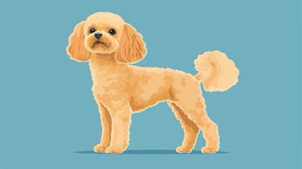 Modern Poodle Dog Design Flat Vector Illustration