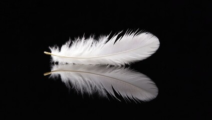 Obraz premium White feather reflected on black surface