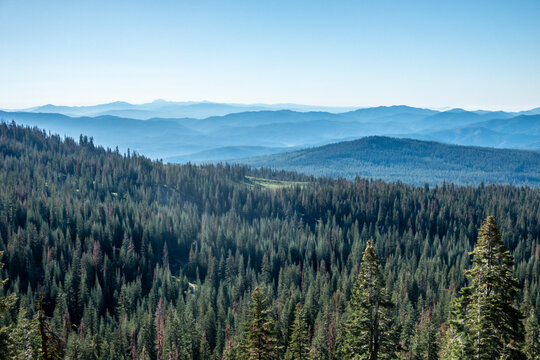 Shasta-Trinity National Forest  and landscapes