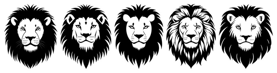 PNG Simple lion face linear illustration wildlife animal transparent background.