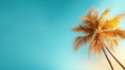 Tall palm trees gracefully sway against a striking blue sky, encapsulating the beauty of tropical paradise and the allure of warm, sunny days.