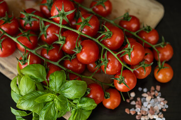 Fresh organic cherry tomatoes on vine with basil leaves and sea salt on wooden board. Healthy eating, Mediterranean diet, natural farming products and traditional Italian cuisine ingredients