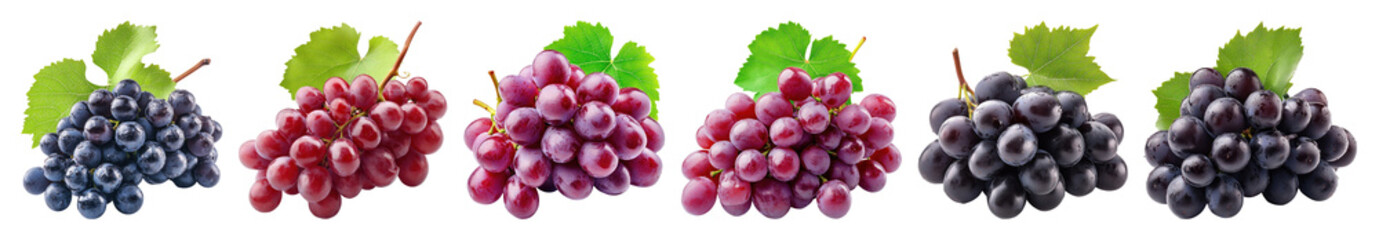 Fototapeta premium PNG Colorful grapes variety display transparent background.