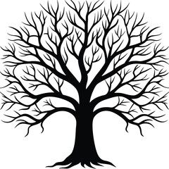 Obraz premium Tree Without Leaves Silhouette