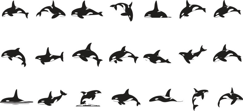 Silhouette orca whale icons set. marine life, ocean, mammal, set, logo, sea animal icons. vector illustration