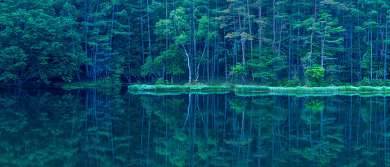 Mishaka Pond with green trees reflection early in the morning.