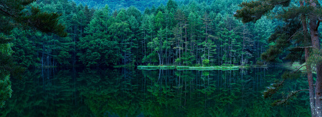Mishaka Pond with green trees reflection early in the morning.