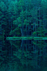 Mishaka Pond with green trees reflection early in the morning.